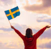 Partiflagga
