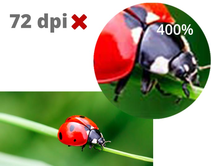 Exempel på en oskarp och pixlig bildfil med låg upplösning